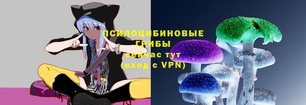 ГАЛЛЮЦИНОГЕННЫЕ ГРИБЫ Балабаново