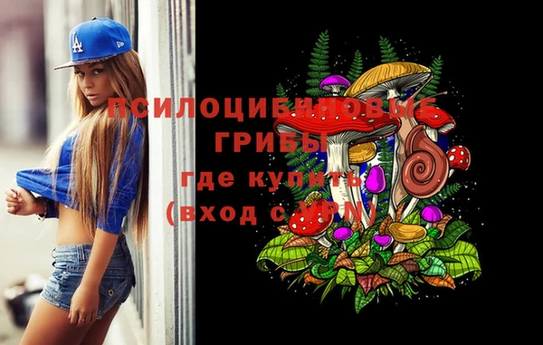 ГАЛЛЮЦИНОГЕННЫЕ ГРИБЫ Балабаново
