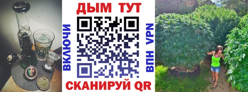 Каннабис VHQ  MEGA ссылка  Северо-Курильск  купить наркоту 